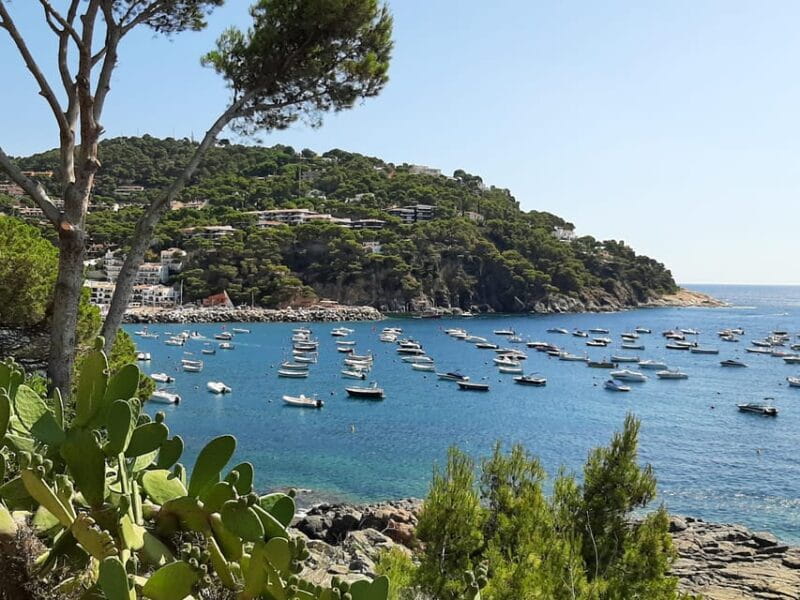 From Barcelona: Costa Brava Typical Towns full day tour - Who Will Love This Tour?