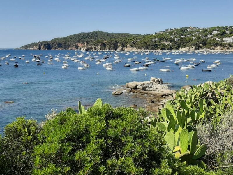 From Barcelona: Costa Brava Typical Towns full day tour - Frequently Asked Questions