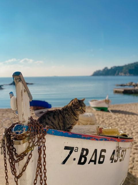 From Barcelona: Day Trip to France With Breakfast in Girona - Exploring Barri Vell and Girona Cathedral