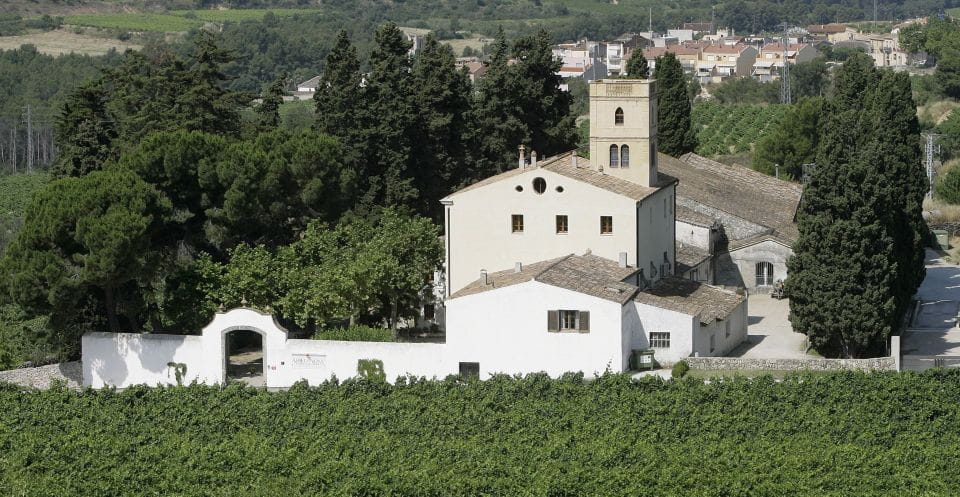 From Barcelona: El Penedès Hike and Wine Tour - Customer Feedback