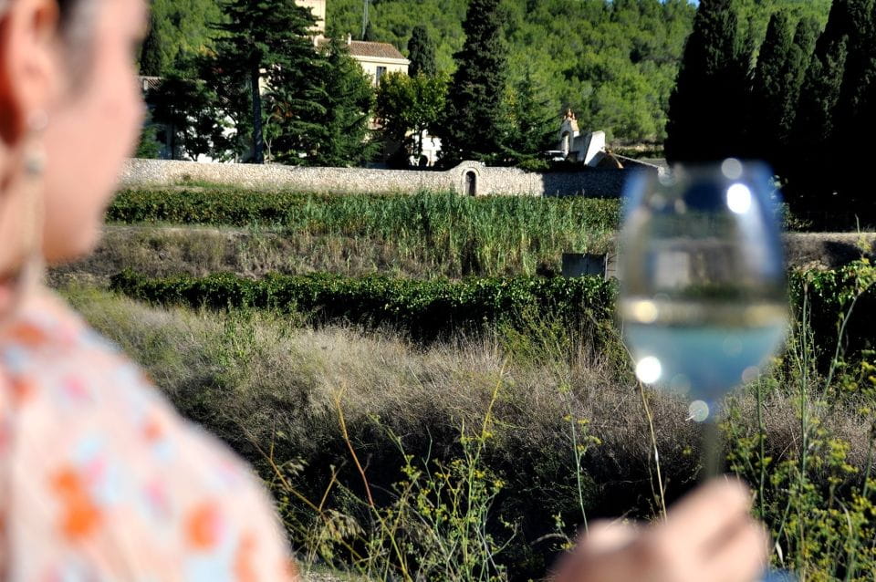 From Barcelona: El Penedès Hike and Wine Tour - Scenic Views of Montserrat