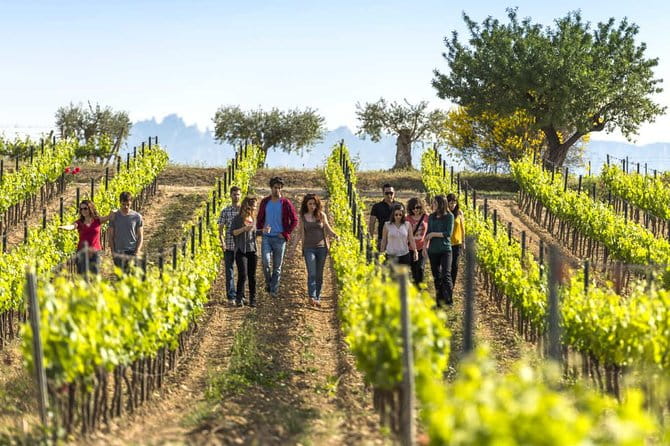 From Barcelona: El Penedès Hike & Wines - Key points / Takeaways