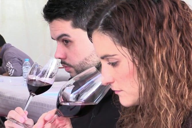 From Barcelona: El Penedès Hike & Wines - Discovering El Penedès: A Gift for the Senses