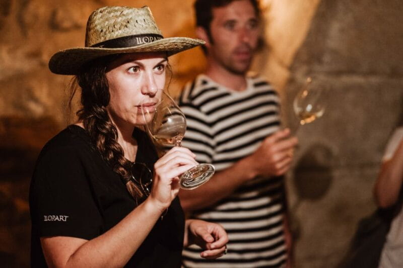 From Barcelona: Montserrat Lunch & Wine Tasting in Vineyard - Tour of the 14th-Century Winery: Wine and Sparkling Wine Tasting