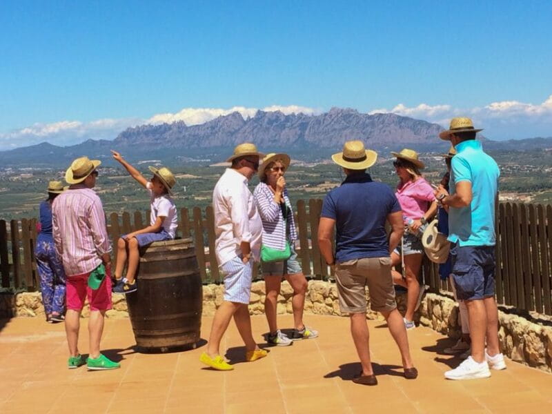 From Barcelona: Montserrat Lunch & Wine Tasting in Vineyard - Transportation and Cost Considerations