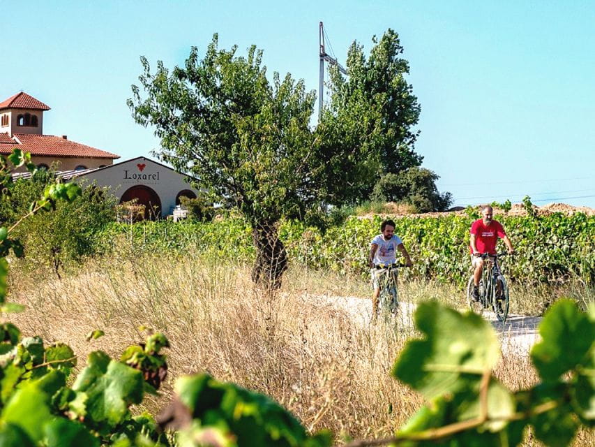 From Barcelona: Penedès E-Bike Tour With 2 Winery Visits - Key Points