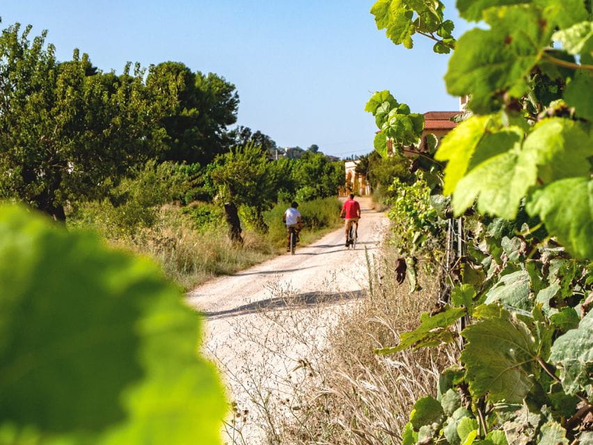 From Barcelona: Penedès E-Bike Tour With 2 Winery Visits - Itinerary and Experience