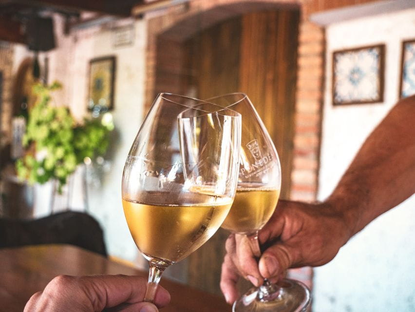 From Barcelona: Penedès E-Bike Tour With 2 Winery Visits - Customer Feedback and Ratings