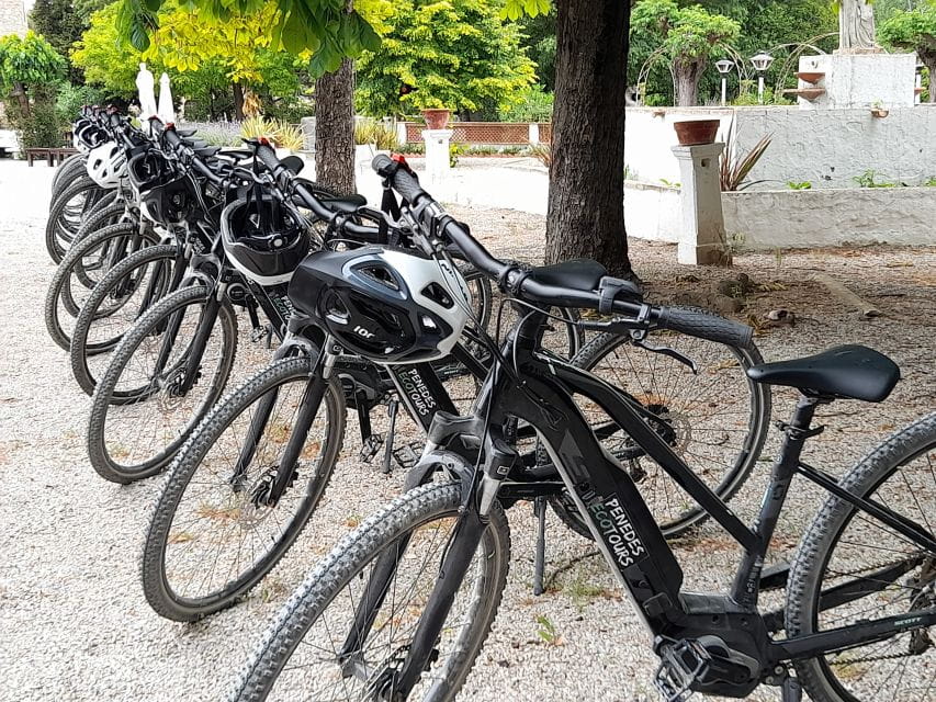 From Barcelona: Penedès E-Bike Tour With 2 Winery Visits - Things To Know
