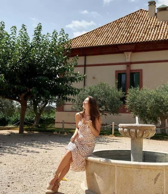 From Barcelona Premium Wine Tasting at Boutique Winery +Food - Food Pairings: Gourmet or Gourmet Plus