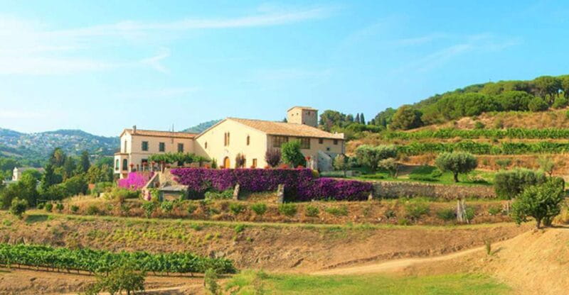 From Barcelona: Private Alella Wine Tour by Electric Bike - Key Points / Takeaways