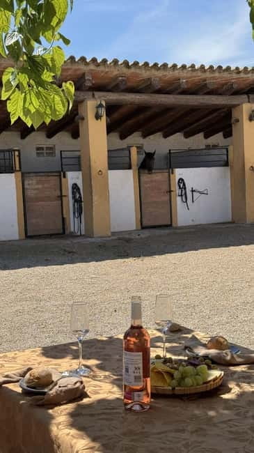 From Barcelona: PRIVATE Horseback Ride + Tapas + Picnic - Who Will Love This Experience?