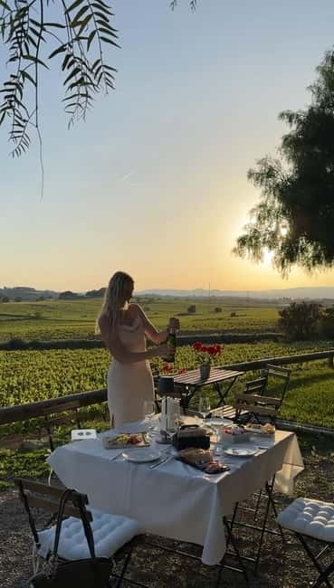 From Barcelona: PRIVATE Horseback Ride + Tapas + Picnic - Price and Logistics: What You Need to Know