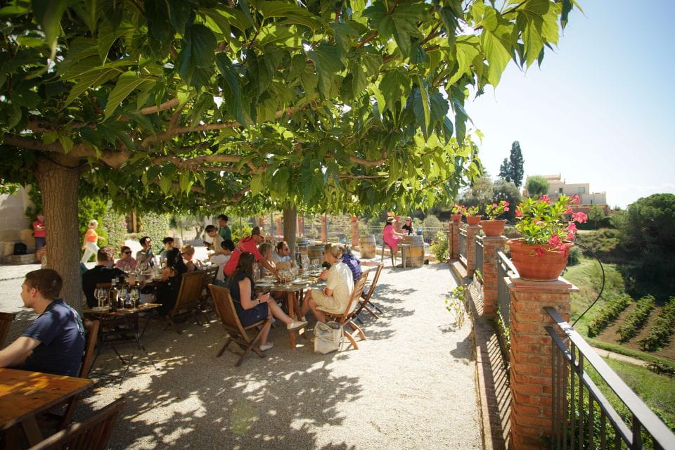 From Barcelona: Sailing and Wine Tasting Experience - Things To Know