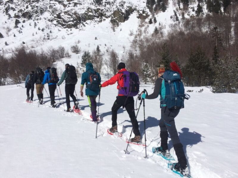 From Barcelona: Snowshoeing in the Pyrenees - Key Points / Takeaways: