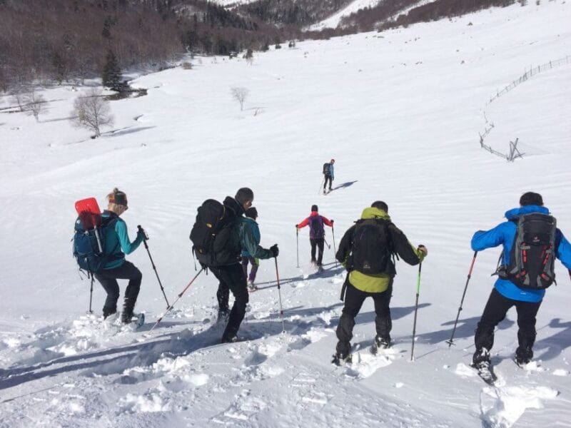 From Barcelona: Snowshoeing in the Pyrenees - Return Journey and Reflection