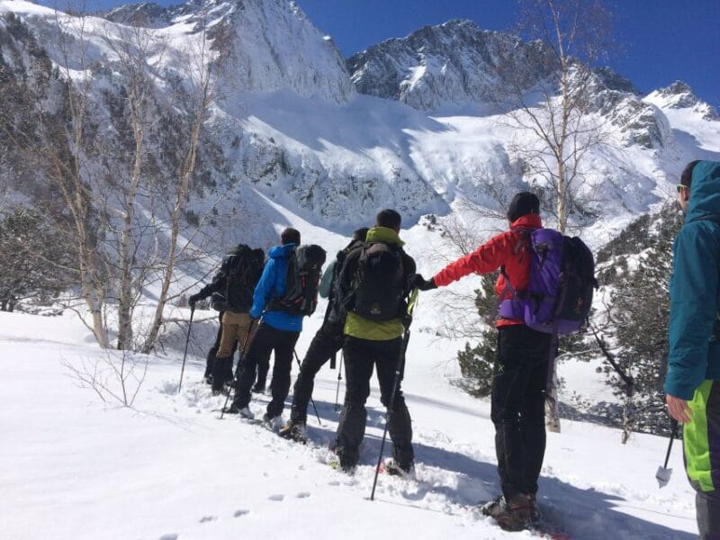 From Barcelona: Snowshoeing in the Pyrenees - Price and Logistics: A Good Investment for a Unique Experience