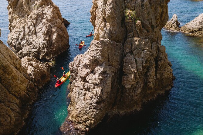 From Barcelona: Tossa De Mar Kayak & Snorkel Tour With Paella - Marine Life and Habitat