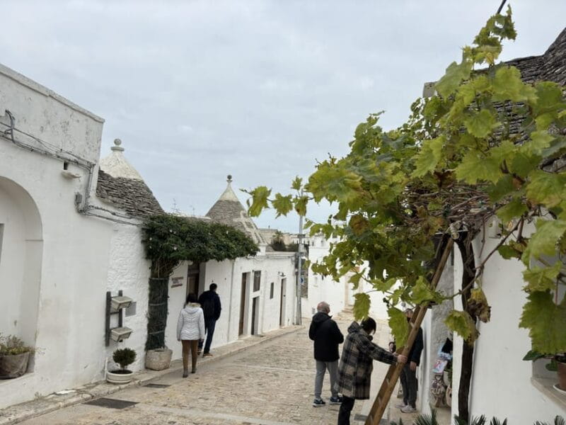 From Bari: Alberobello Half-Day Trip with Guided Tour - FAQ