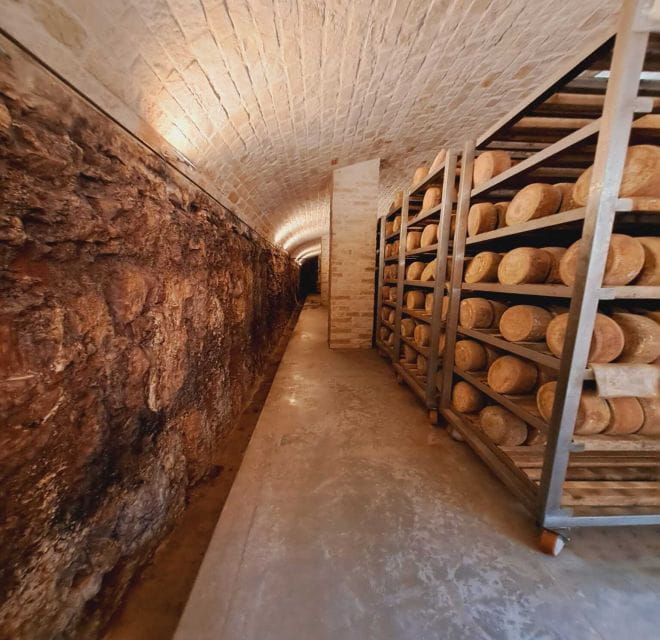 From Bari: Burrata cheese experience in a local dairy farm - Entering the Heart of Apulian Cheese-Making