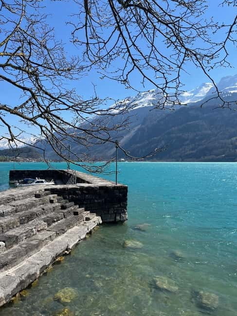 From Basel: Alps, Waterfalls and Lakes Private Tour - Key Points / Takeaways
