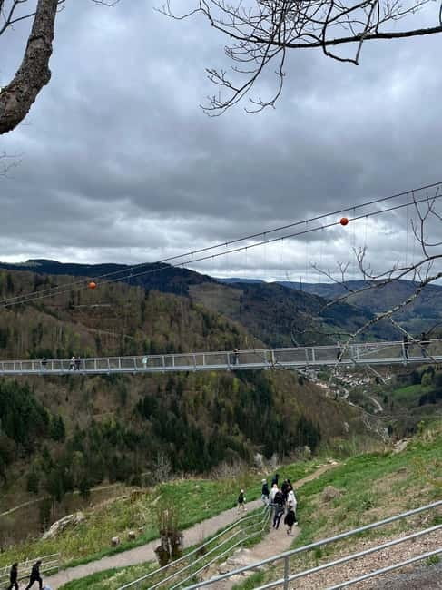 From Basel: Black Forest, Waterfall & Lakes Private Tour - Key points / Takeaways