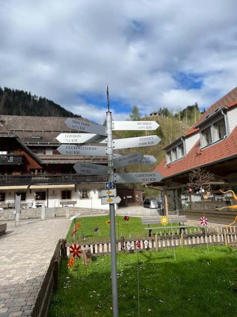 From Basel: Black Forest, Waterfall & Lakes Private Tour - Exploring Todtnau and the Black Line Suspension Bridge