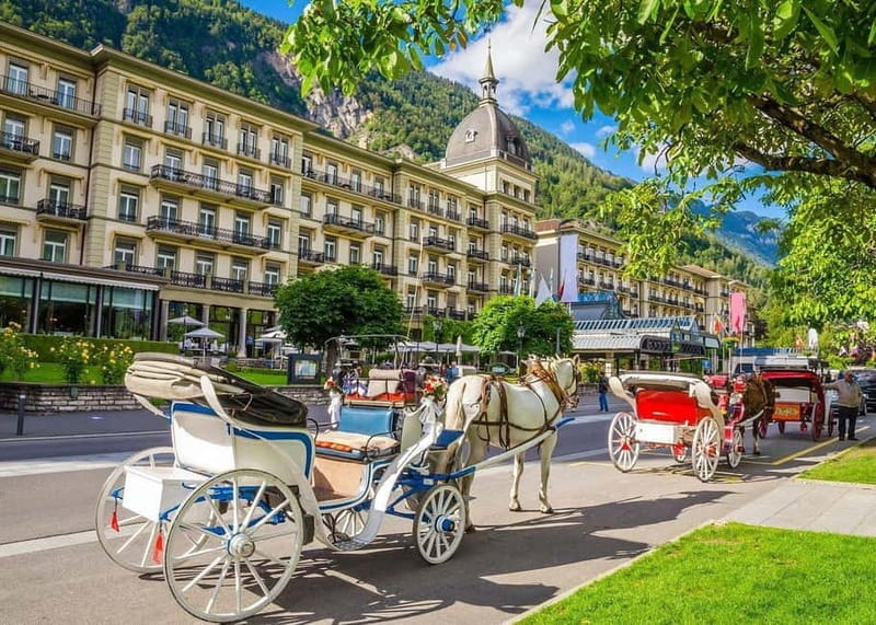 From Basel: Private Interlaken tour, Lake Brienz, Waterfalls - Discovering Switzerland’s Hidden Gems on a Full-Day Tour
