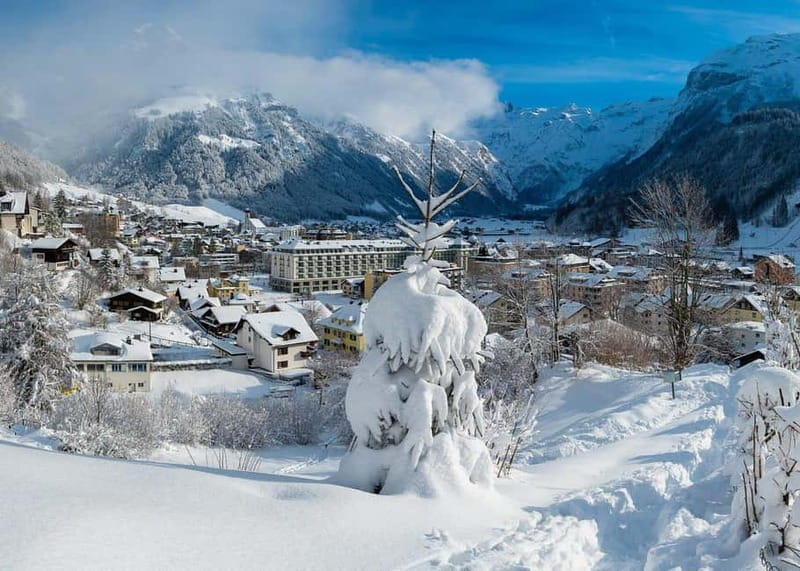 From Basel: Private Mt Titlis & Engelberg Day Trip w/ Cheese - Key points / Takeaways