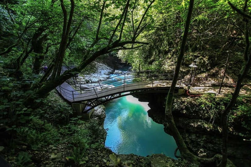 From Batumi: Martvili Canyon and Prometheus Cave Tour - Price and Logistics: Getting Value for Your Money