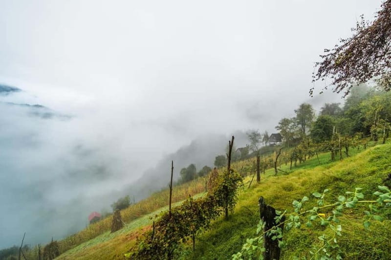 From Batumi: Songs & Flavors of Merisi Village - Key points / Takeaways