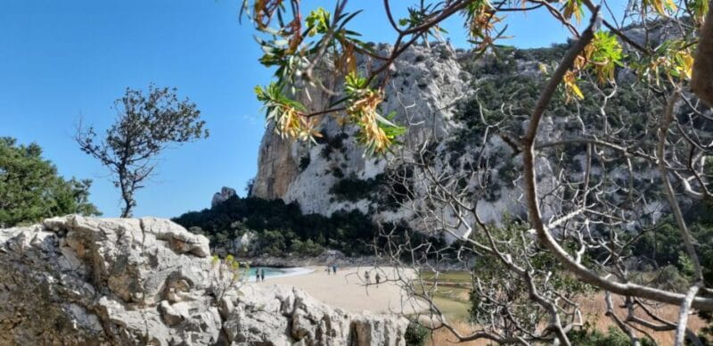 From Baunei: Cala Luna and Dorgali Full-Day Guided Trek - A Guided Trek into Sardinia’s Wild Side