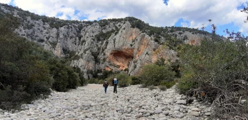 From Baunei: Cala Luna and Dorgali Full-Day Guided Trek - Who Should Consider This Experience?