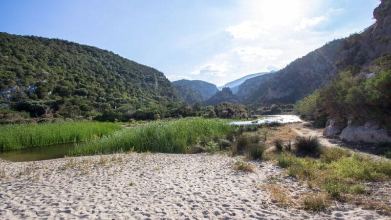 From Baunei: Cala Luna and Dorgali Full-Day Guided Trek - Who Will Love This Tour?