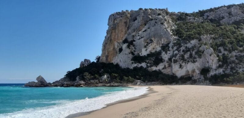 From Baunei: Cala Luna and Dorgali Full-Day Guided Trek - The Sum Up