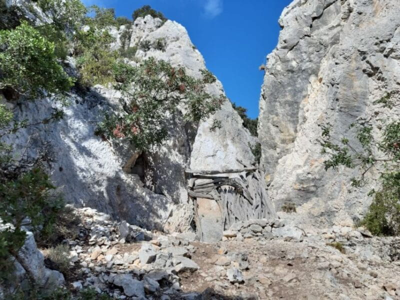 From Baunei: Cala Mariolu Hiking Tour - Key Points / Takeaways