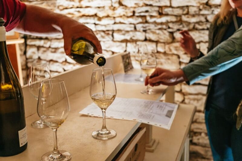 From Beaune: Burgundy Day Trip with 14 Wine Tastings - Key points / Takeaways