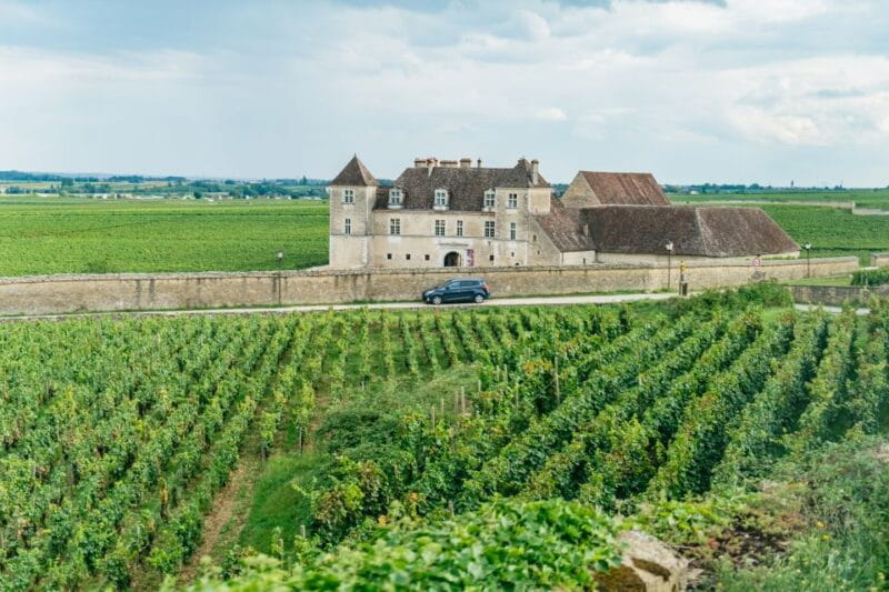 From Beaune: Burgundy Day Trip with 14 Wine Tastings - Entering Burgundy: The Full-Day Tour Experience