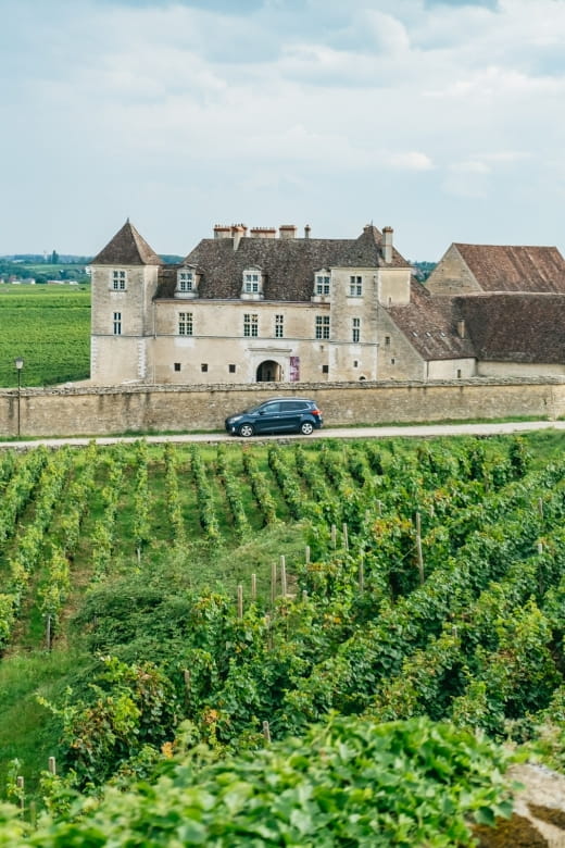 From Beaune: Burgundy Day Trip with 14 Wine Tastings - Logistics: What You Need to Know