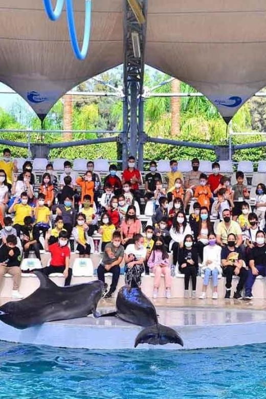 From Belek: Dolphin Show with Transfers - Who Should Consider This Tour?
