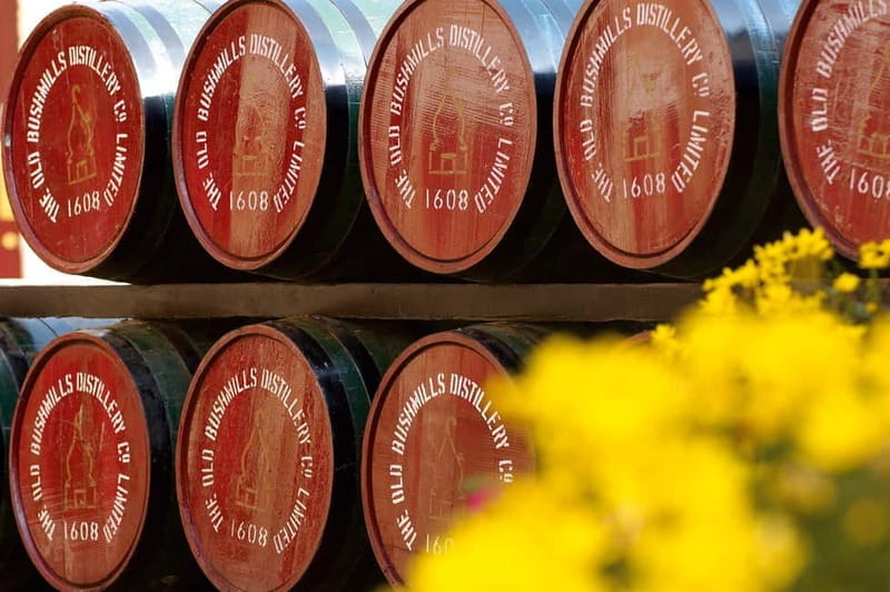 From Belfast: Full-Day Giant's Causeway Shore Excursion - In Summary