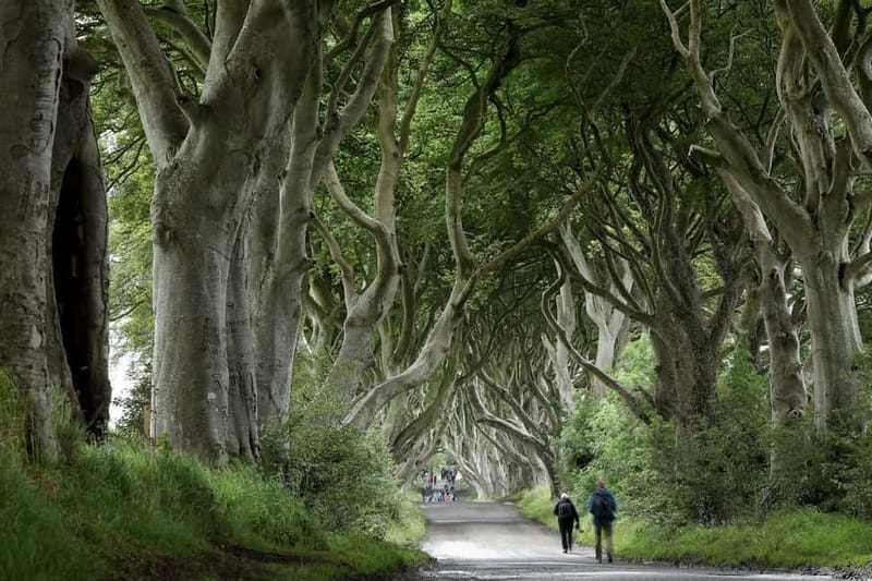 From Belfast: Giant's Causeway and Game of Thrones Tour - Who Is This Tour Best For?