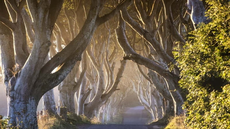 From Belfast: Giant's Causeway and Titanic Belfast Tour - Exploring the Natural and Cultural Landmarks of Northern Ireland