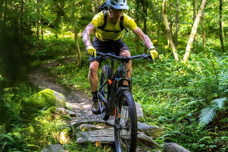 From Belfast: Mountain Bike Experience - Discovering the Trails in Castlewellan Forest Park