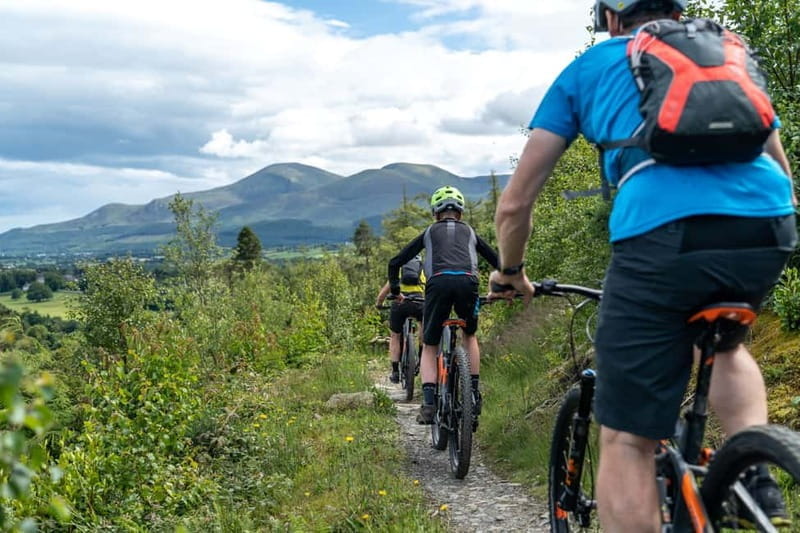 From Belfast: Mountain Bike Experience - Who Will Love This Experience?