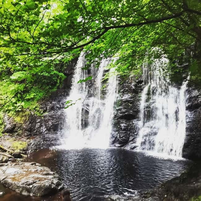 From Belfast: Private Tour of the Glens & Giants Causeway - Discovering the Best of the North Coast: A Detailed Journey