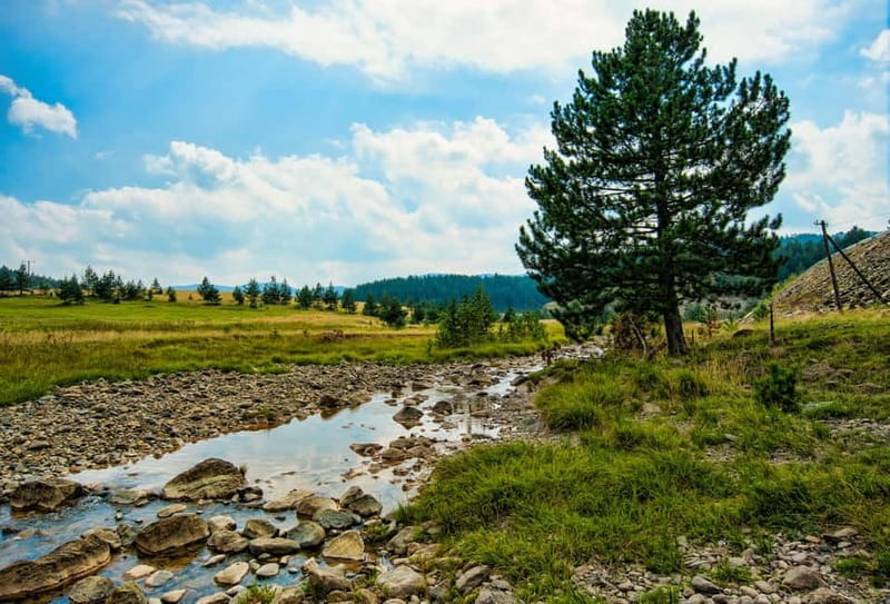 From Belgrade: Full-Day Guided Tour of Zlatibor Mountain - Who Is This Tour Best For?