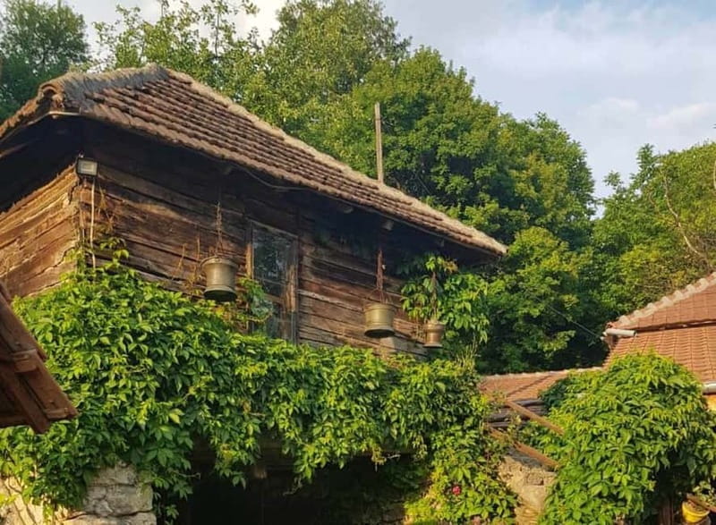 From Belgrade: Full Day Tour to Resava Valley - Who Would Love This Tour?