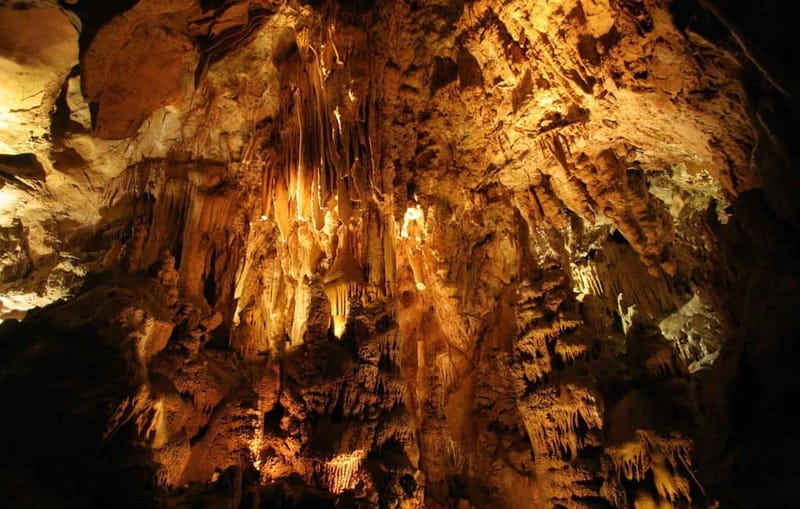 From Belgrade: Manasija Monastery and Resava Cave Tour - Key points / Takeaways