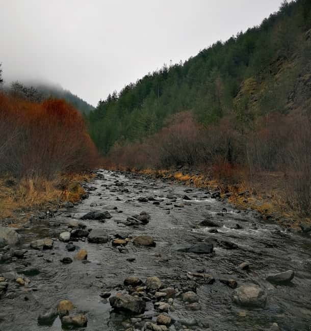 From Belgrade: Mokra Gora Sargan 8 train,Mecavnik & Zlatibor - Final Thoughts